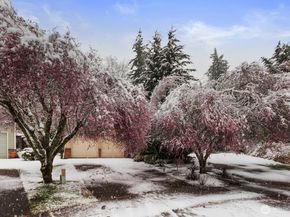 8218 126th Place SE, Newcastle WA 98056