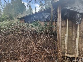 3805 S 282nd Street, Auburn WA 98001