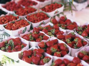 730 A Broadway E, Seattle WA 98102