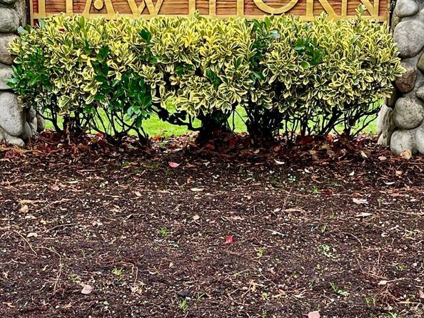 2104 151st Place SW, Lynnwood WA 98087