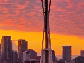 900 Warren Avenue N 302, Seattle WA 98109
