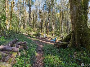 7238 Lakemont Boulevard SE, Bellevue WA 98006