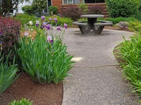 10501 8th Avenue NE 115, Seattle WA 98125