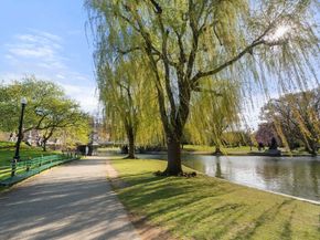 263 Commonwealth Ave 8, Boston MA 02116