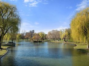 263 Commonwealth Ave 8, Boston MA 02116