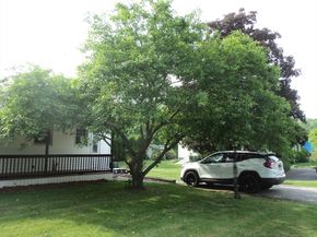 585 Charlton St, Southbridge MA 01550