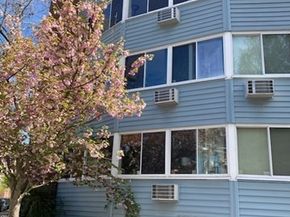 516 Green 3D, Cambridge MA 02139