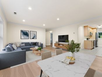 144 Newton