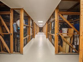 1 Seal Harbor Rd. 415, Winthrop MA 02152