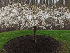 243 Spring Street, Shrewsbury MA 01545