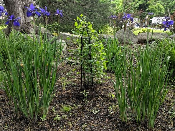 243 Spring Street, Shrewsbury MA 01545