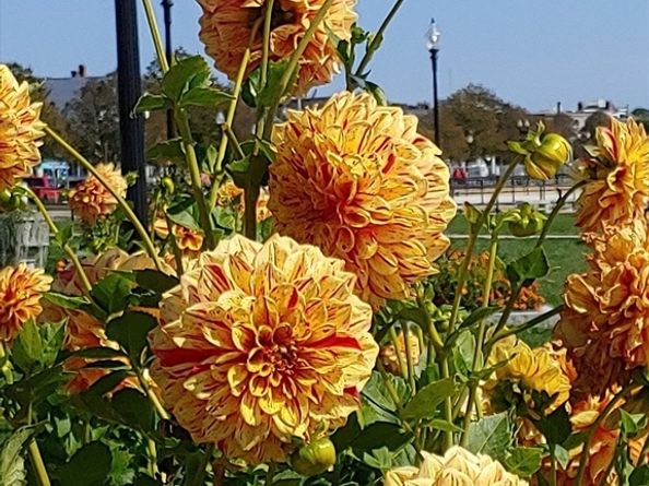 15 Harvard St, Gloucester MA 01930