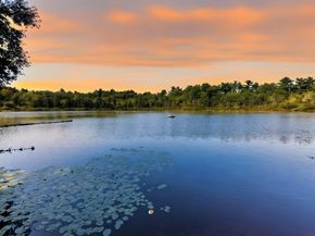 10 Dunham Pond Rd, Lakeville MA 02347