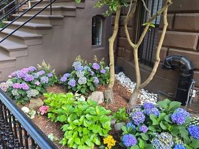19 Worcester Sq 1, Boston MA 02118
