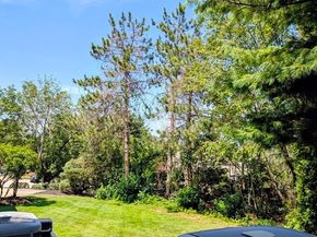 1203 Sheffield Way 1203, Saugus MA 01906