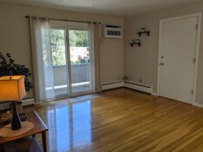 73 Lionel Ave. F, Waltham MA 02452