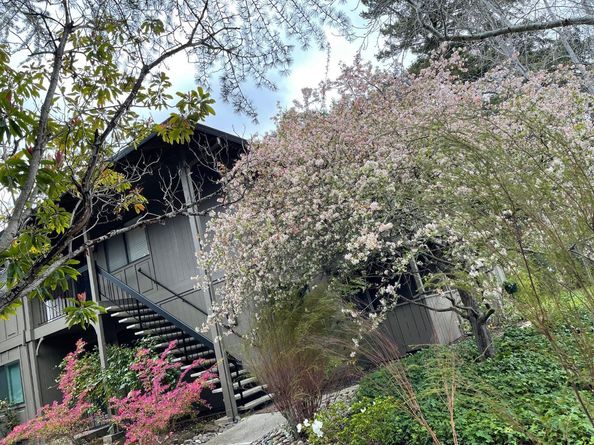 14660 Big Basin Way C, Saratoga CA 95070