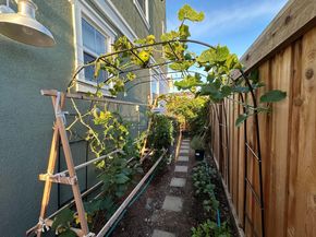 37119 Hickory Street, Newark CA 94560