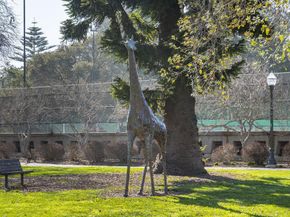 217 8th Avenue 203, San Mateo CA 94401