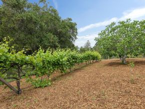 120 Deer Meadow Lane, Portola Valley CA 94028