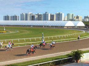 721 Atlantic Shores Blvd 307, Hallandale Beach FL 33009