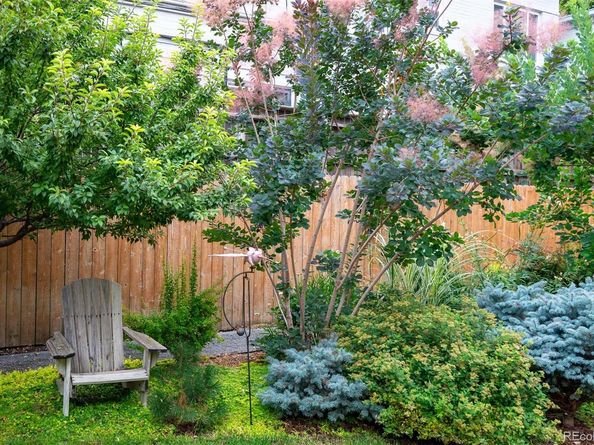 1114 Gaylord Street, Denver CO 80206
