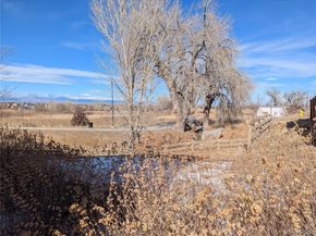 14147 Jackson Street, Thornton CO 80602