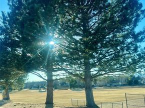 19418 E Crestridge Circle, Centennial CO 80015