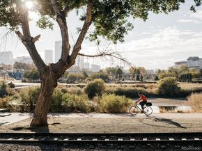 207 Cook Street, Denver CO 80206