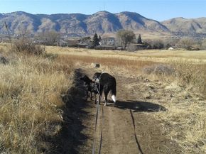 1547 Secrest Court, Golden CO 80401