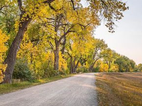 5301 S Birch Court, Greenwood Village CO 80121