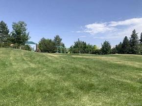 943 Jersey Street, Denver CO 80220