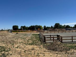 64 Avocet Court, Longmont CO 80501