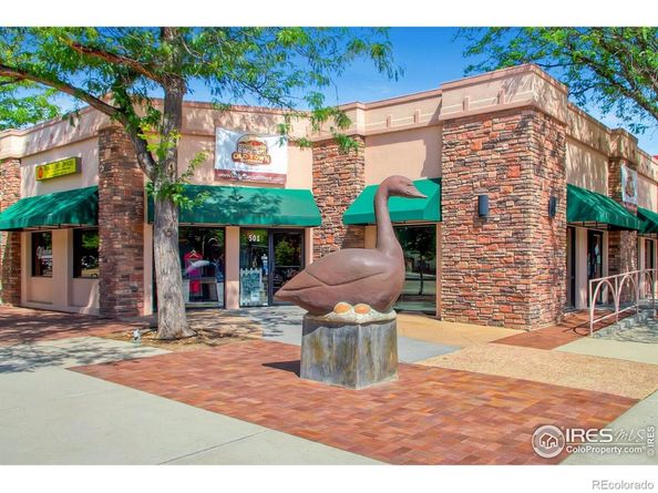 428 Francis Street, Longmont CO 80501