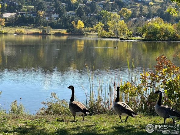1215 Berea Drive, Boulder CO 80305