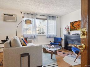 1063 N Clarkson Street 12, Denver CO 80218