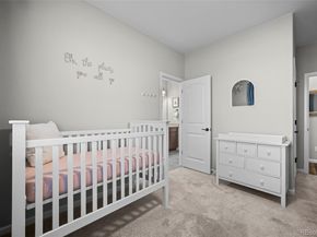 15988 E 113th Court, Commerce City CO 80022