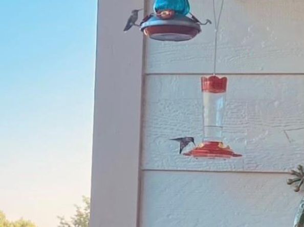 491 S Kalispell Way 305, Aurora CO 80017