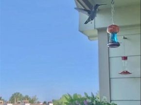 491 S Kalispell Way 305, Aurora CO 80017