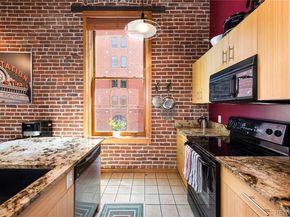 1143 Auraria Parkway 203, Denver CO 80204