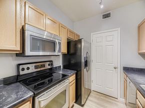4451 S Ammons Street 4203, Littleton CO 80123