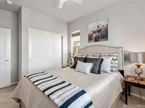 15256 W 94th Avenue, Arvada CO 80007