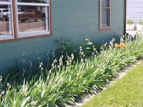 1730 W 51st Avenue, Denver CO 80221