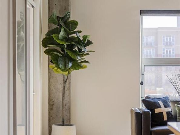 Undisclosed Address #8985412, Denver CO 80205