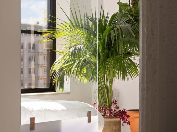 250 Mercer Street B1002, New York NY 10012