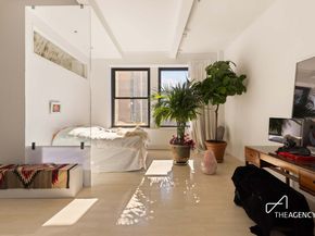 250 Mercer Street B1002, New York NY 10012