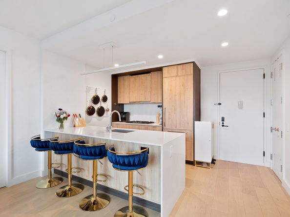 171 North 1st Street 5H, Brooklyn NY 11211