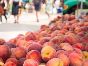 16 West 16th Street 5NS, New York NY 10011