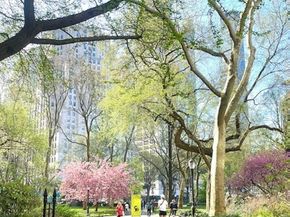 16 West 16th Street 5NS, New York NY 10011