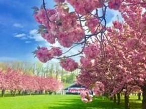 135 Eastern Parkway 2B1, Brooklyn NY 11238